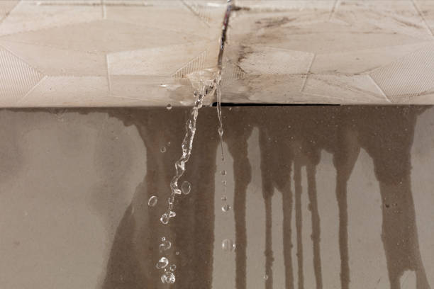 Professional Flood Damage Cleanup technician working in Leesville, TX